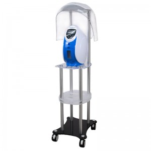 ��ǰ ������